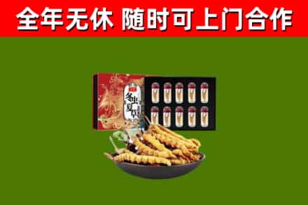 丰城回收冬虫夏草价格